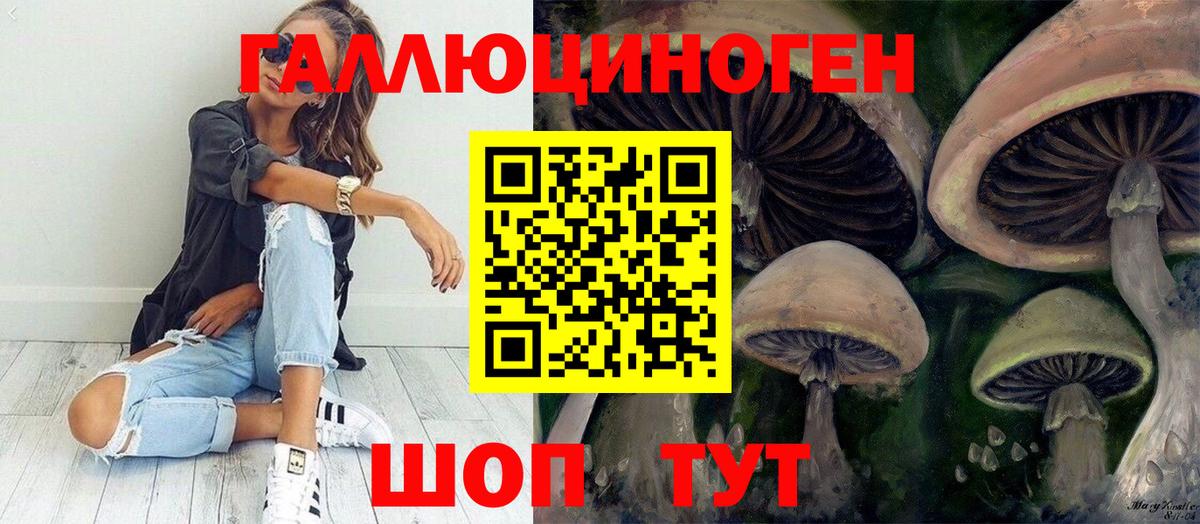 Псилоцибиновые грибы Cubensis  Вход с VPN  сколько стоит  Партизанск 